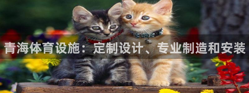 意昂体育3招商电话地址：青海体育设施：定制设计、专业