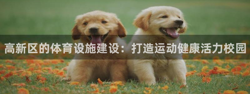 意昂体育3招商：高新区的体育设施建设：打造运动健康活