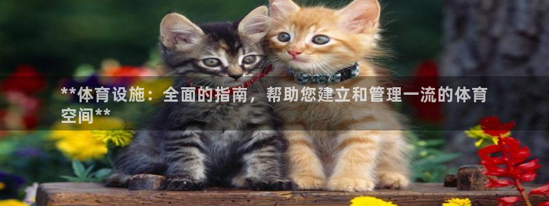 意昂3集团官网首页：**体育设施：全面的指南，帮助您