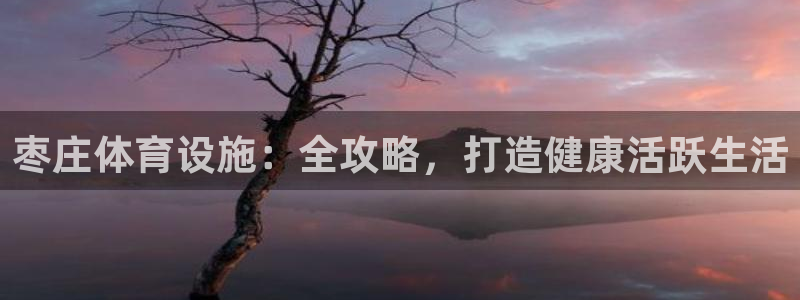 意昂3集团官网首页：枣庄体育设施：全攻略，打造健康活