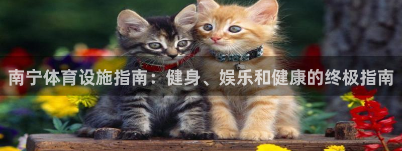 德国意昂3集团：南宁体育设施指南：健身、娱乐和健康的