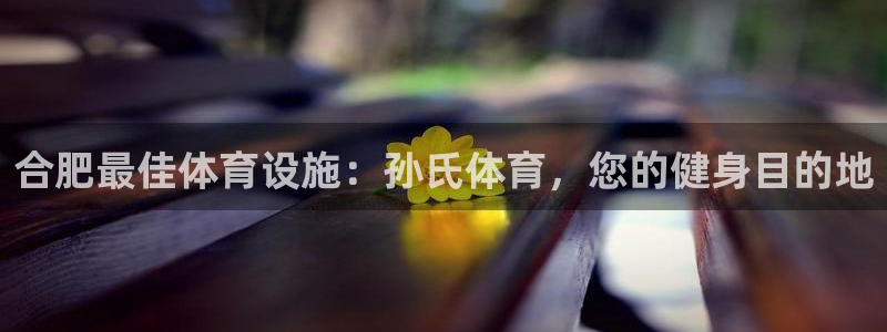 注册意昂3：合肥最佳体育设施：孙氏体育，您的健身目的