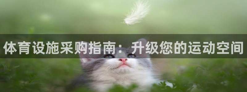 意昂3娱乐平台：体育设施采购指南：升级您的运动空间