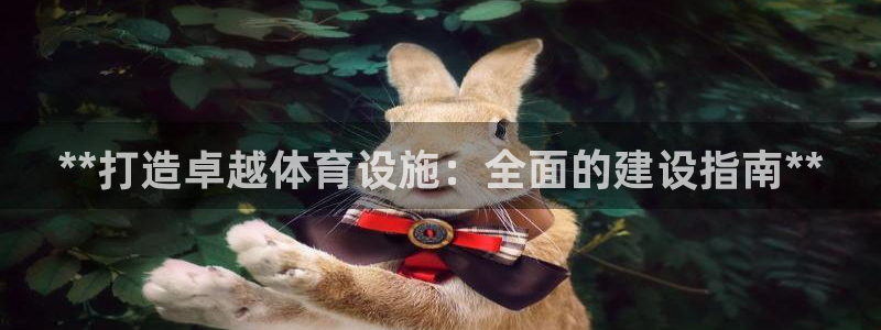 意昂体育3：**打造卓越体育设施：全面的建设指南**