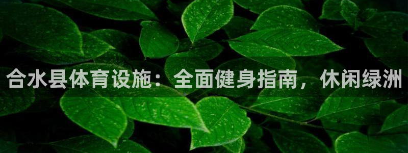 德国意昂3集团：合水县体育设施：全面健身指南，休闲绿