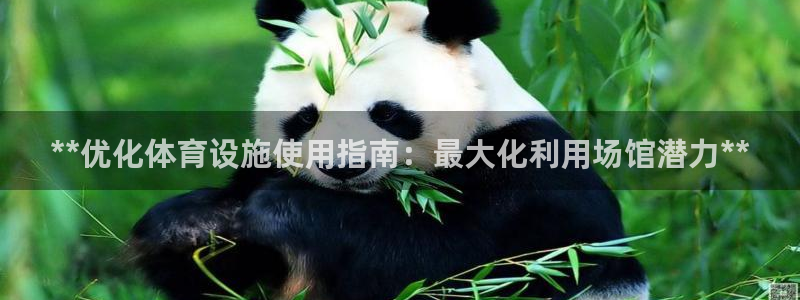 意昂3官方：**优化体育设施使用指南：最大化利用场馆