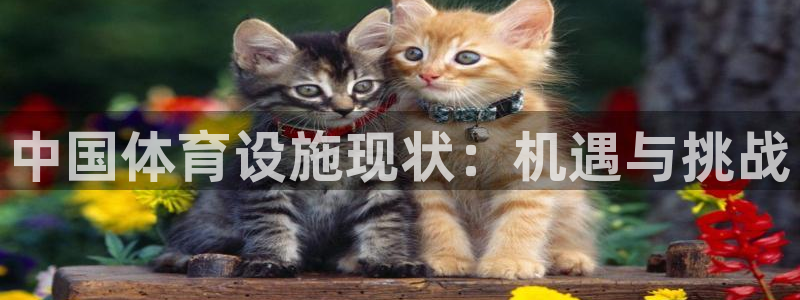 意昂体育3平台是正规平台吗安全吗：中国体育设施现状：
