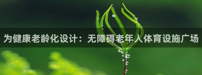 意昂体育3招商电话：为健康老龄化设计：无障碍老年人体