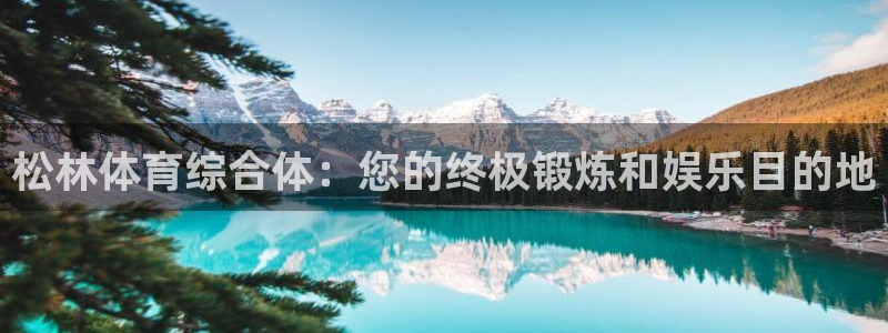 意昂3娱乐首页网站大全：松林体育综合体：您的终极锻炼