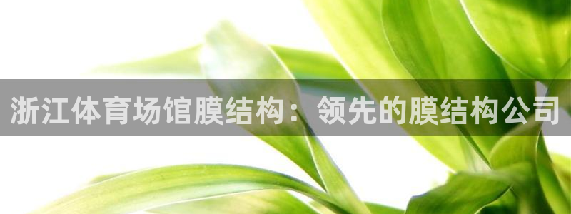 意昂3集团官网首页：浙江体育场馆膜结构：领先的膜结构