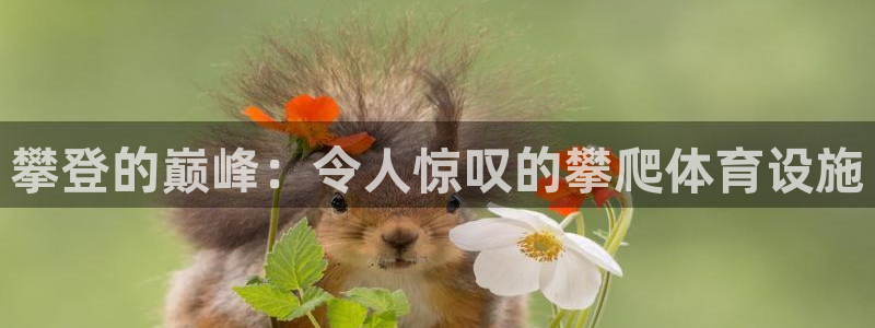 意昂体育3平台注册流程图：攀登的巅峰：令人惊叹的攀爬