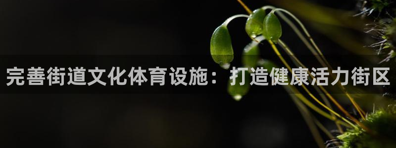 意昂体育3招商电话号码查询是多少：完善街道文化体育设