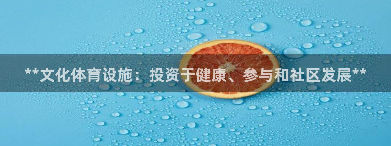 注册意昂3：**文化体育设施：投资于健康、参与和社区