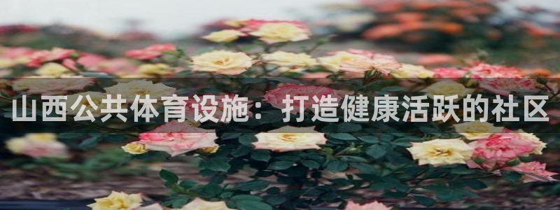 意昂体育3平台：山西公共体育设施：打造健康活跃的社区
