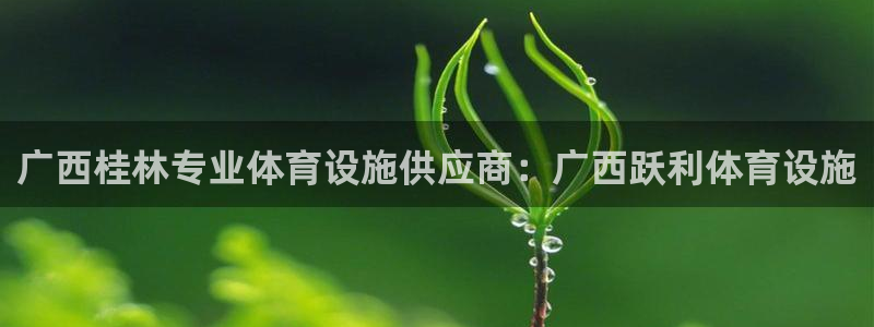 意昂体育3平台假的吗是真的吗：广西桂林专业体育设施供