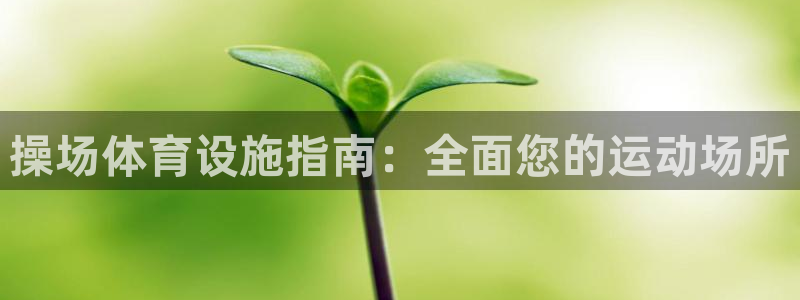 意昂3集团E.ON：操场体育设施指南：全面您的运动场