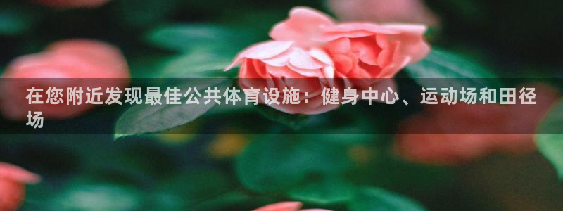 意昂体育3招商：在您附近发现最佳公共体育设施：健身中