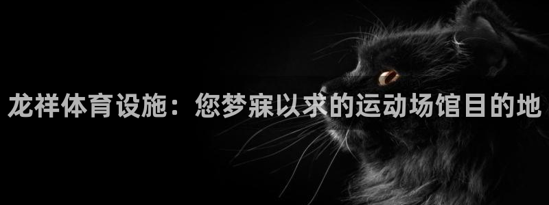 意昂体育3平台注册要钱吗：龙祥体育设施：您梦寐以求的