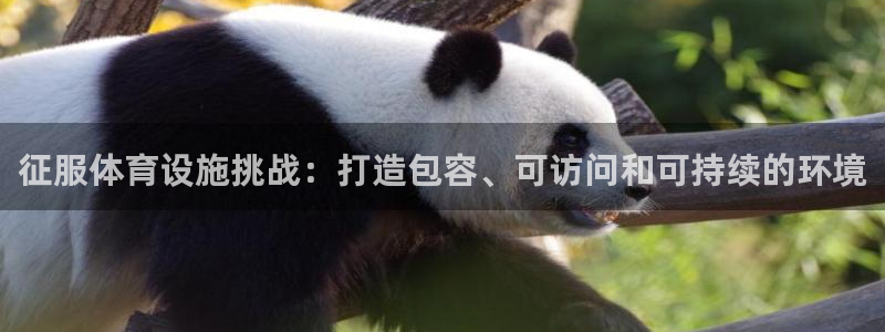 意昂体育3官方客服电话：征服体育设施挑战：打造包容、