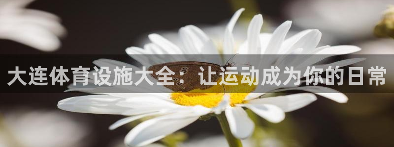 意昂3代理：大连体育设施大全：让运动成为你的日常