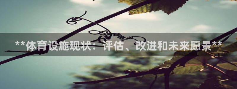 意昂体育3招商电话是多少：**体育设施现状：评估、改