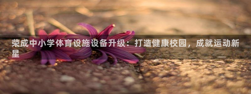 意昂3官网：荣成中小学体育设施设备升级：打造健康校园
