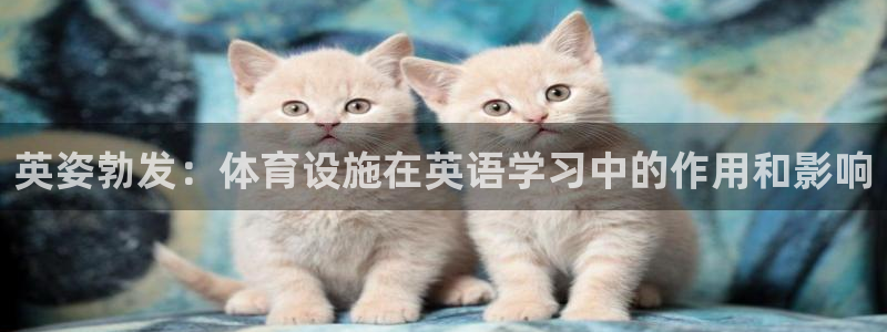 意昂3新能源