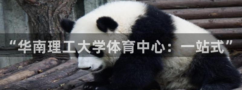 意昂3官网
