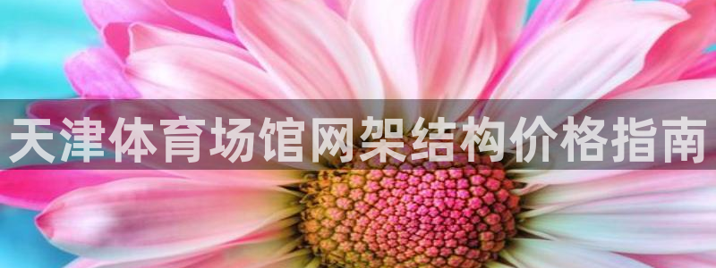 海南意昂体育3：天津体育场馆网架结构价格指南
