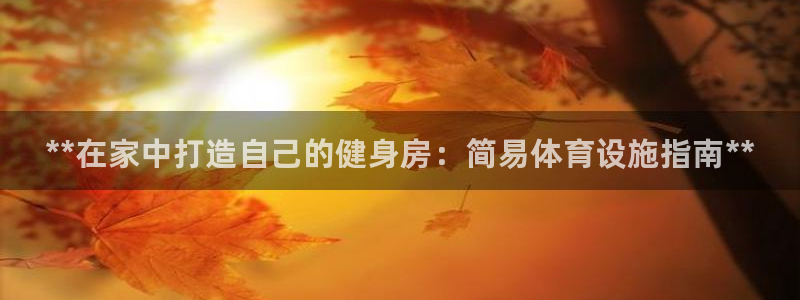 意昂体育3是干嘛的公司：**在家中打造自己的健身房：简易体育