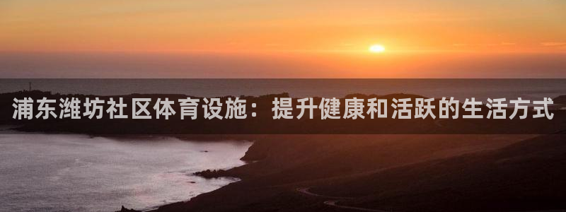 意昂体育3软件：浦东潍坊社区体育设施：提升健康和活跃