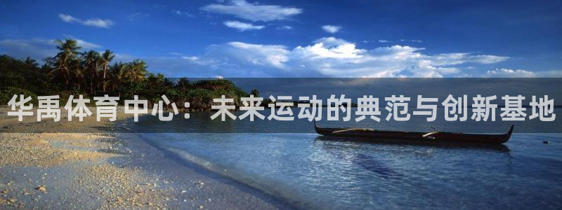 意昂体育3平台假的吗是真的吗吗：华禹体育中心：未来运