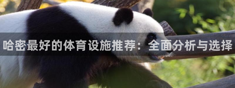 意昂3开户：哈密最好的体育设施推荐：全面分析与选择