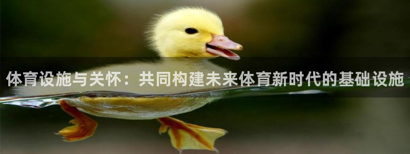 意昂3娱乐首页官网下载：体育设施与关怀：共同构建未来