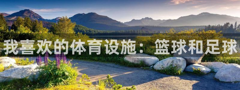 意昂3娱乐代理怎么样：我喜欢的体育设施：篮球和足球