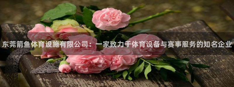 意昂体育3招商电话是多少：东莞箭鱼体育设施有限公司：