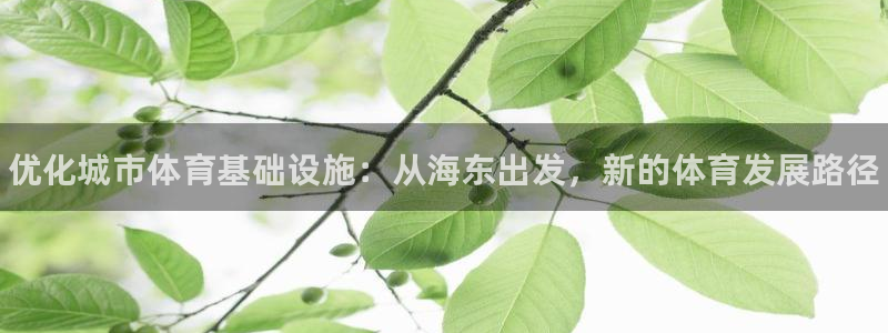 意昂体育3开户：优化城市体育基础设施：从海东出发，新的体育发