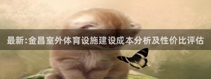 海南意昂体育3发展怎么样：最新:金昌室外体育设施建设成本分析