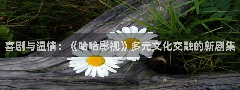 宅男视频在线观看下载