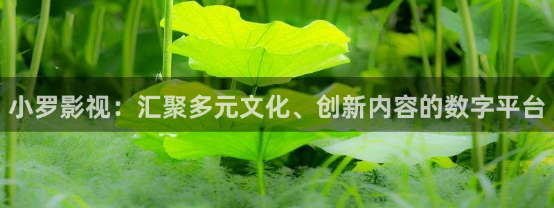 宅男视频污版