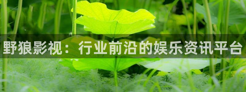 久久宅男视频