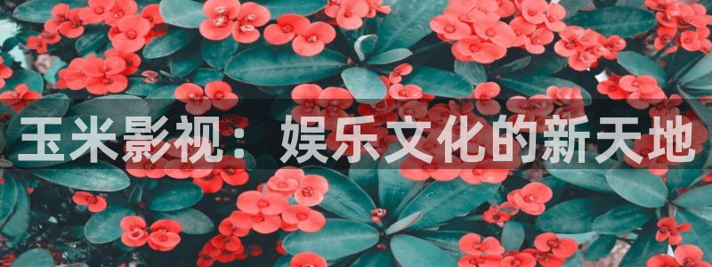 宅男视频破解版下载