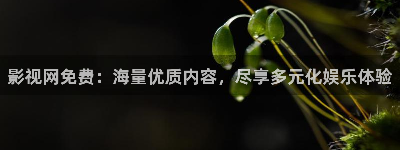 成人宅男视频在线